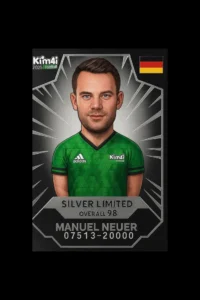 سیلور لیمیتد نویر